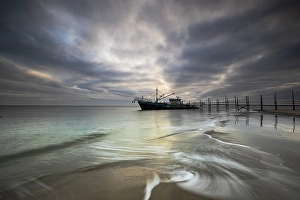 Importand Bird Area Prints: boat dock