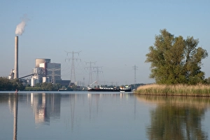 Moerasbos Prints: Brabantse Biesbosch