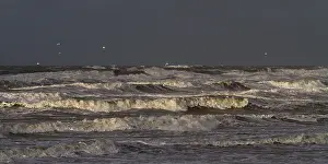 Golven Prints: Branding, Breakers