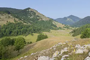 Vista Prints: Campolongo