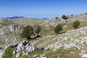 Paesaggi Prints: Cervati mount