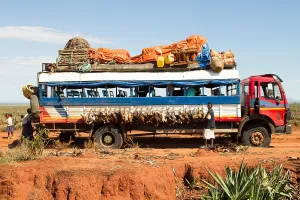 2010 Prints: Chickens on the bus in Madagascar