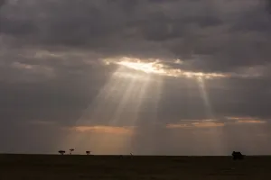 Images Dated 21st July 2015: A cloudy sky over the savannah