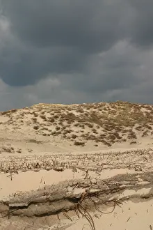 Duinlandschap Prints: Coepelduynen