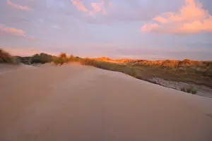 Duinlandschap Prints: Coepelduynen