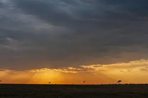 Images Dated 15th September 2013: Dark clouds over the savanna at sunset
