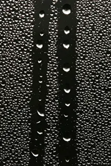 Images Dated 15th October 2006: Dauwdruppels, Dewdrops