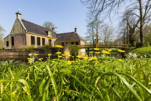 Stinzenflora Prints: Dekema State