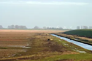 Nieuw Prints: Dollard