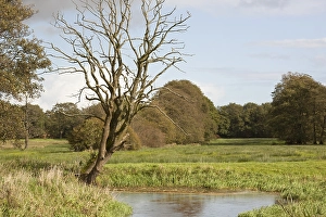 Esdorpenlandschap Prints: Drenthse Aa, Drenthse Aa