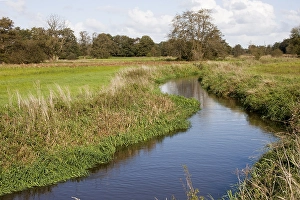 Esdorpenlandschap Prints: Drenthse Aa, Drenthse Aa