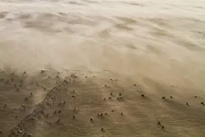 Blowing Prints: Drifting sand
