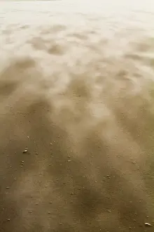 Blowing Prints: Drifting sand
