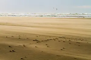 Blowing Prints: Drifting sand