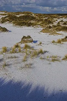 2008 Prints: Duinen, Dunes