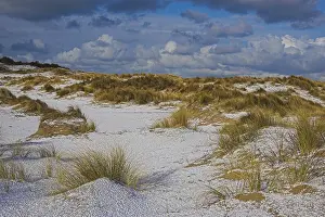 2008 Prints: Duinen, Dunes