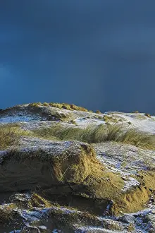 2008 Prints: Duinen, Dunes