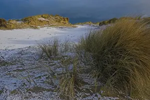 2008 Prints: Duinen, Dunes
