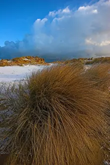 2008 Prints: Duinen, Dunes