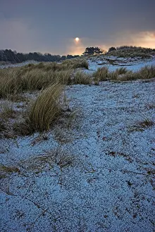 2008 Prints: Duinen, Dunes