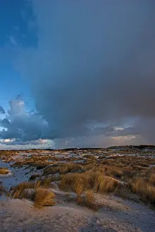 2008 Prints: Duinen, Dunes