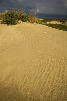Wassenaar Prints: Duintop, sandhill
