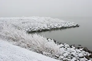 Images Dated 21st December 2007: Dyke Almere, Dijk Almere