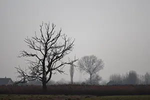 Silhouette Prints: Eempolder Nederland, Eempolder Netherlands