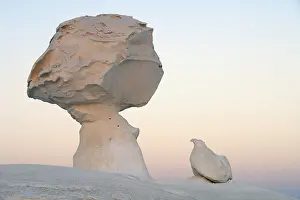 Images Dated 10th October 2007: Egypte