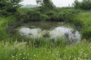 Images Dated 2nd June 2008: en in de Doort