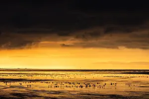 2024 Prints: evening, landscape, sea, island
