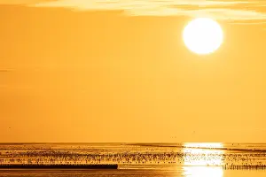 2024 Prints: evening, landscape, sea, island