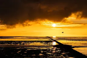 2024 Prints: evening, landscape, sea, island