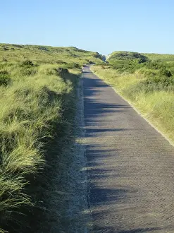 Fietspad Prints: Fietspad, Bicycle Path