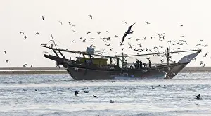 Images Dated 26th November 2023: Fishing Boat with Gulls