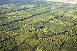 Akkerbouw Prints: Flevopolder