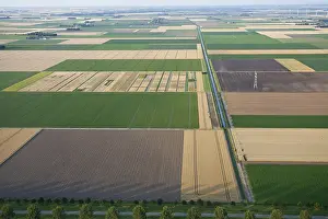 Akkerbouw Prints: Flevopolder