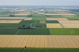 Akkerbouw Prints: Flevopolder