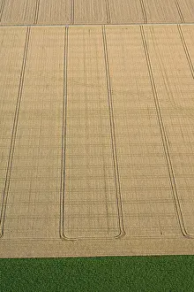 Akkerbouw Prints: Flevopolder