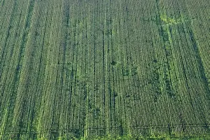 Aerial Photo Prints: Flevopolder