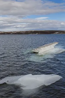 Paesaggi Prints: Floating ice