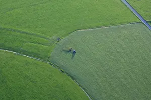 Pasture Prints: Friesland