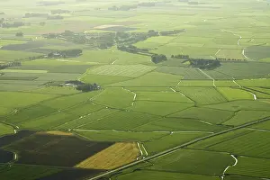 Landbouwgebied Prints: Friesland