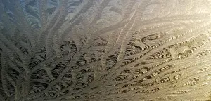 Images Dated 6th January 2022: Frost on window