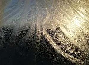 Images Dated 6th January 2022: Frost on window