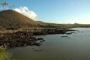 Galapagos Prints: Galapagos