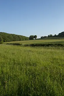 Limburgs Prints: Gerendal