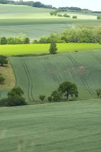Naturpark Prints: Graanakkers, Corn fields