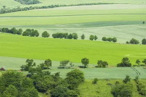 Heuvels Prints: Graanakkers, Corn fields