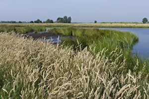 Jonker Prints: Groene Jonker